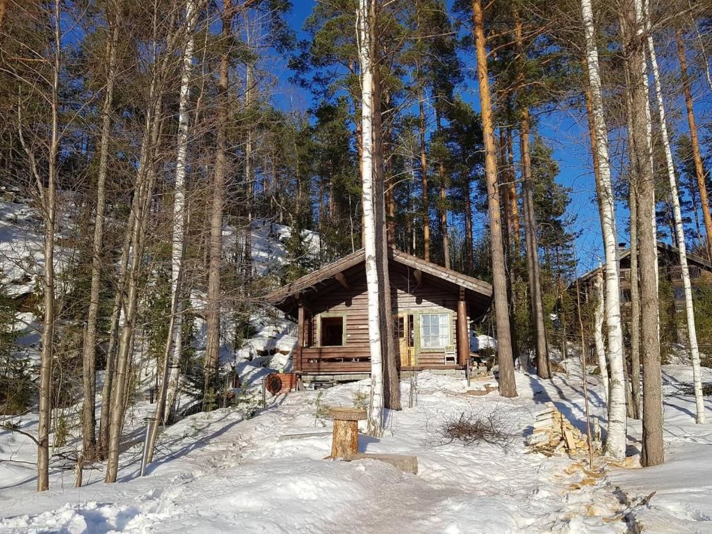 Виллы Holiday House Rantasalmi Рантасалми-71